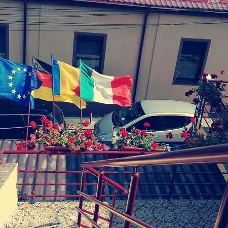 Pensiunea Pelican Tulcea Exterior foto
