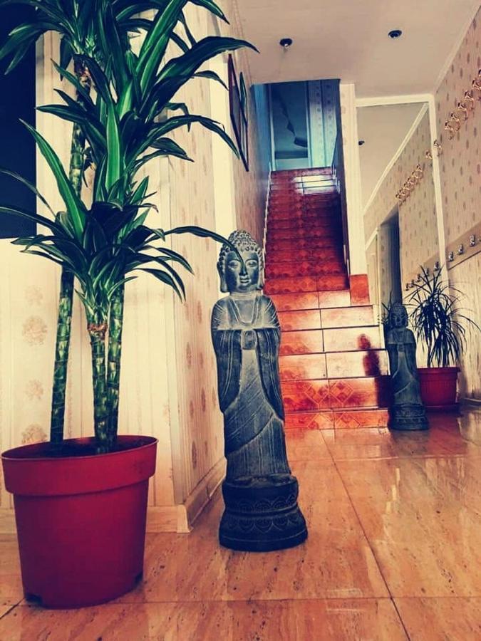 Pensiunea Pelican Tulcea Exterior foto